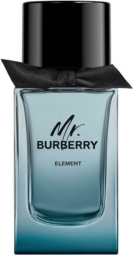 Mr.Burberry Element