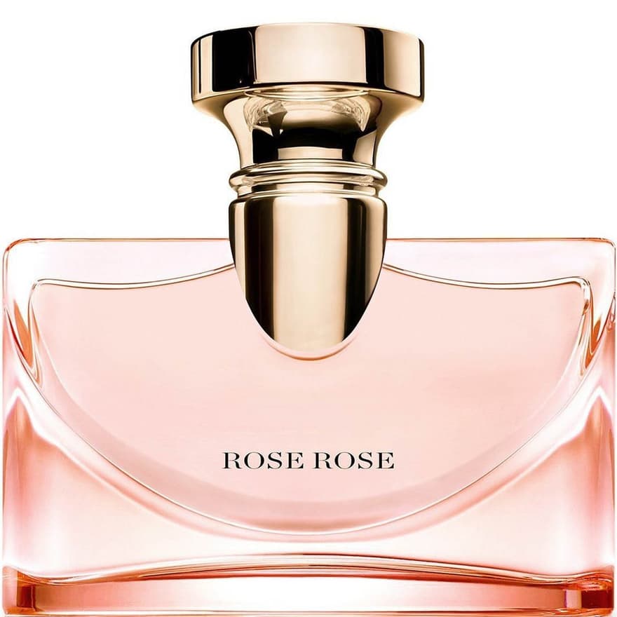 Splendida Rose Rose