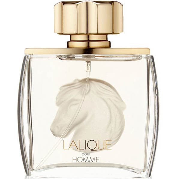 Pour Homme Equus