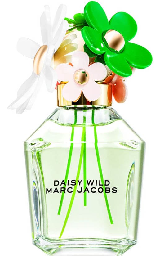 Daisy Wild