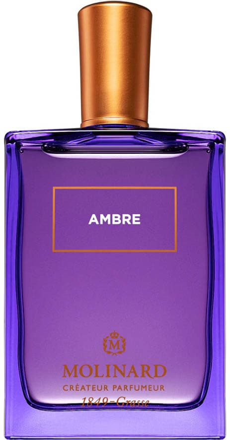 Ambre