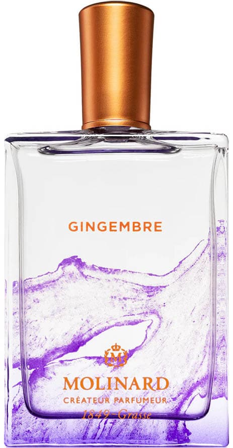 Gingembre