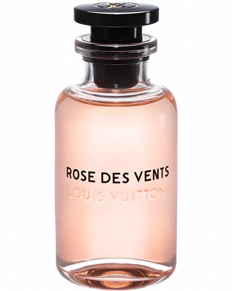 Rose Des Vents