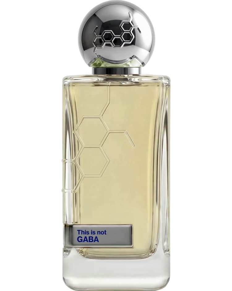This Is Not GABA