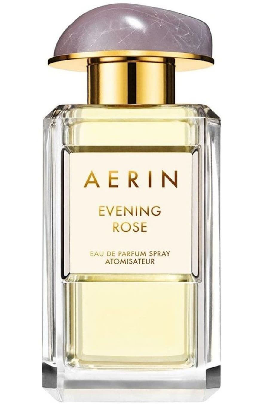 Evening Rose