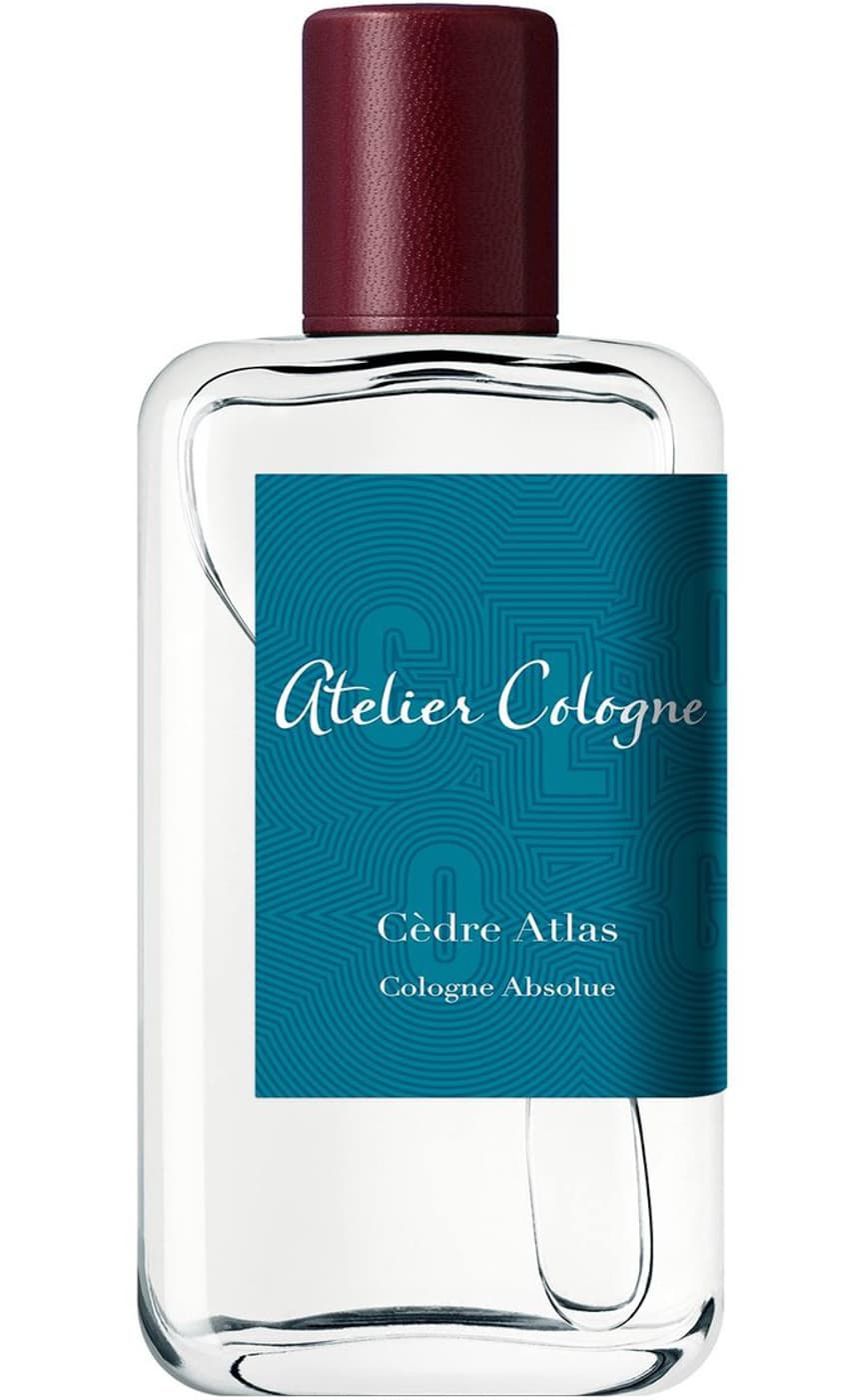 Cedre Atlas
