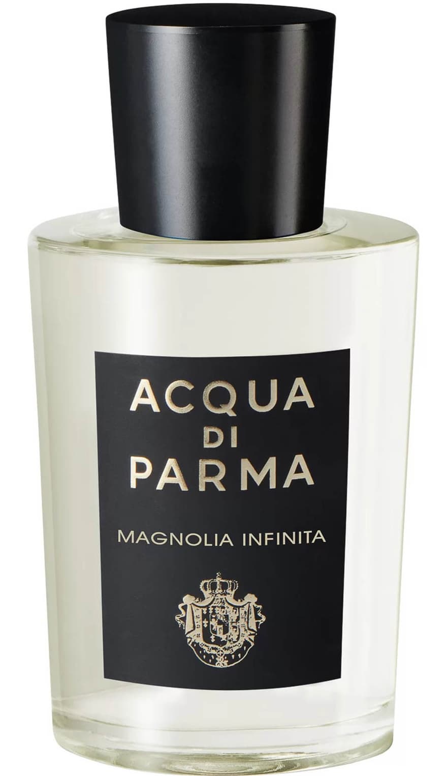Magnolia Infinita