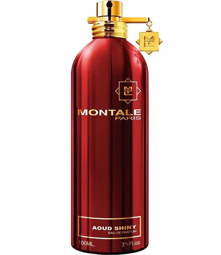 Aoud Shiny