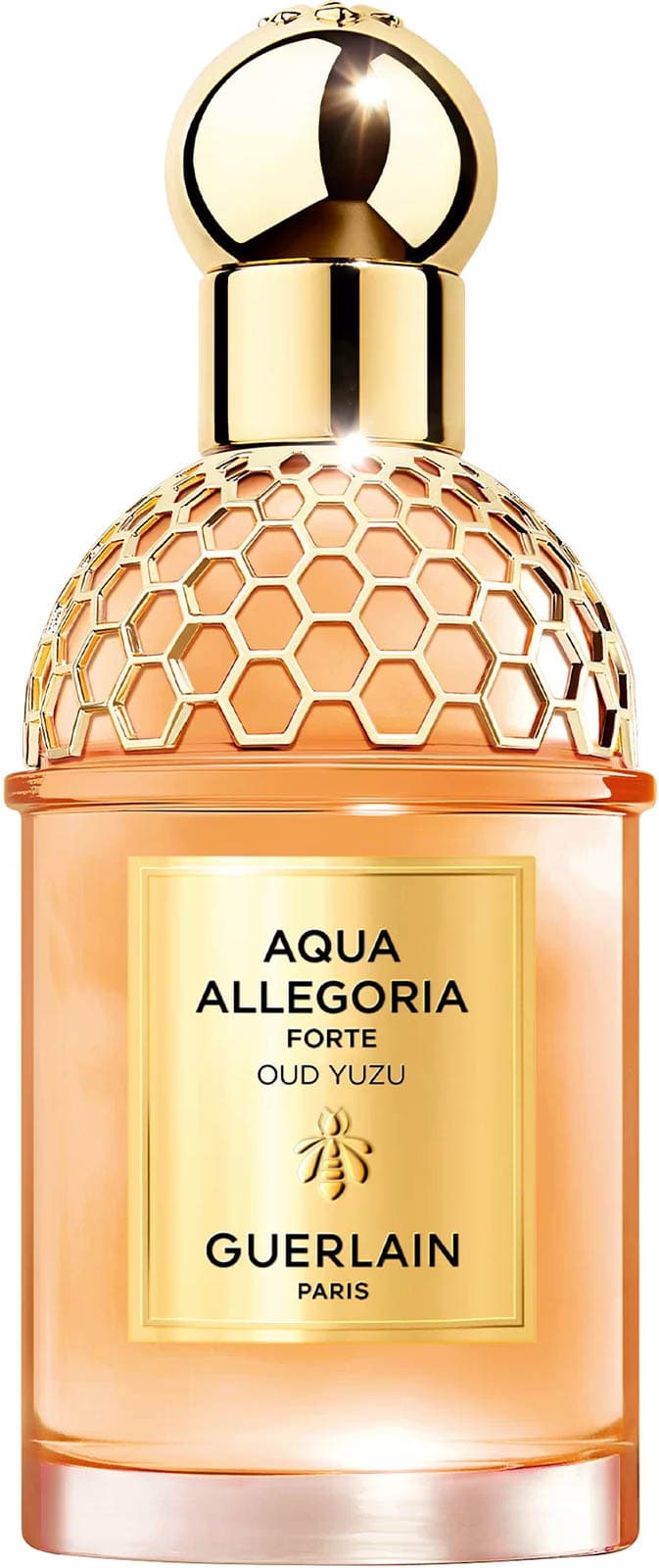 Aqua Allegoria Forte Oud Yuzu