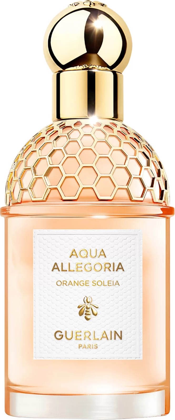 Aqua Allegoria Orange Soleia