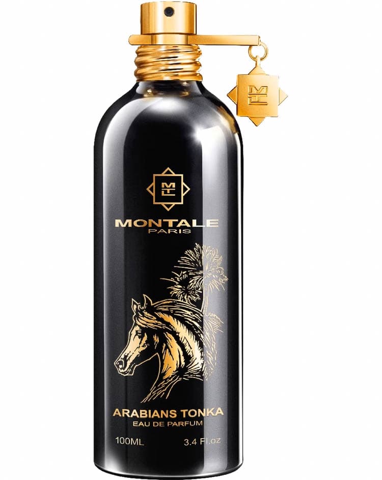 Arabians Tonka