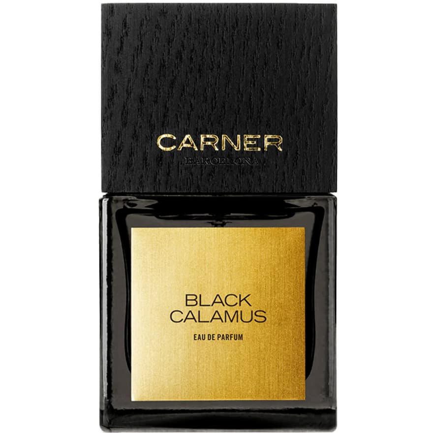 Black Calamus