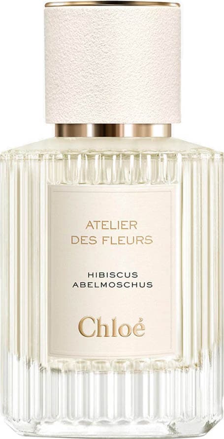 Atelier Des Fleurs Hibiscus Abelmoschus