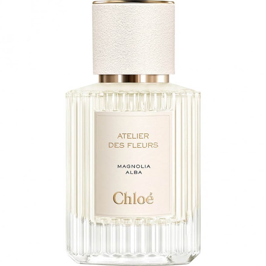 Atelier Des Fleurs Magnolia Alba