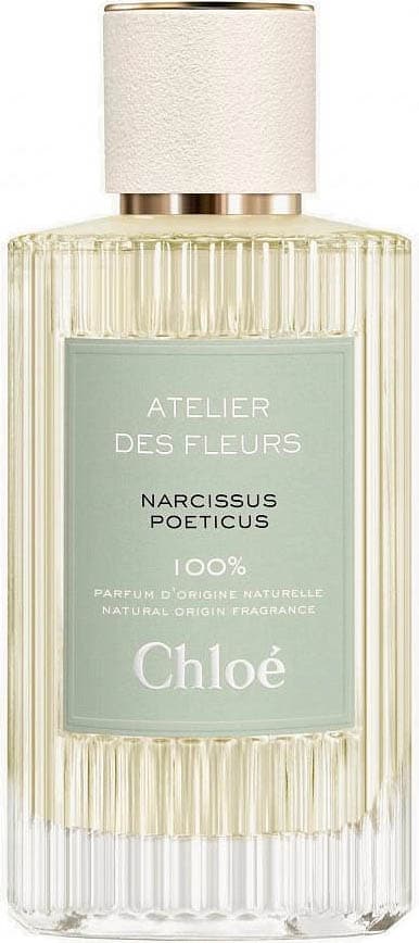 Atelier Des Fleurs Narcissus Poeticus