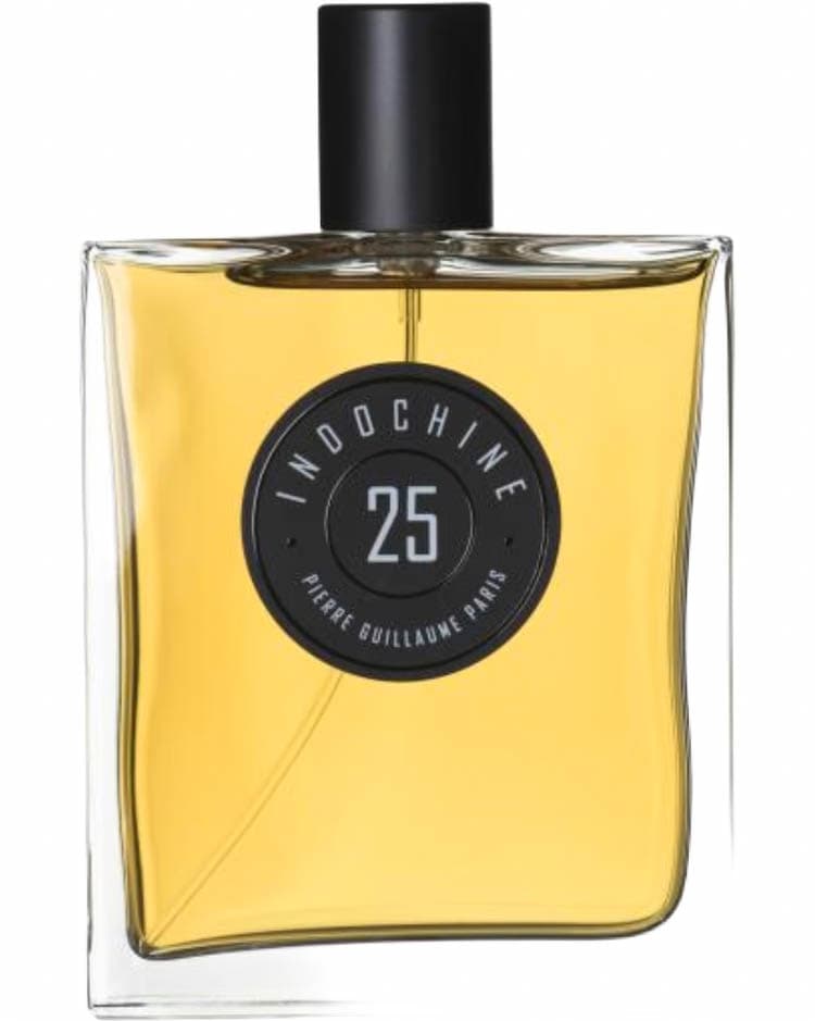 Indochine 25