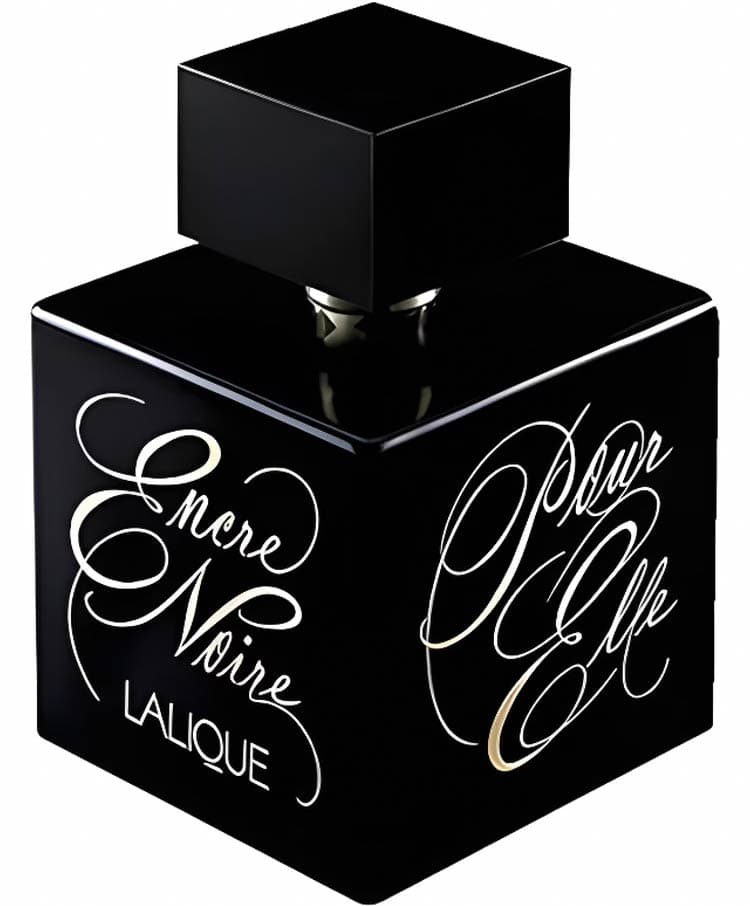 Encre Noire Pour Elle
