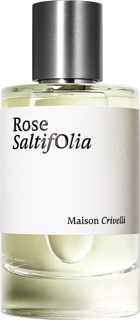 Rose SaltifOlia