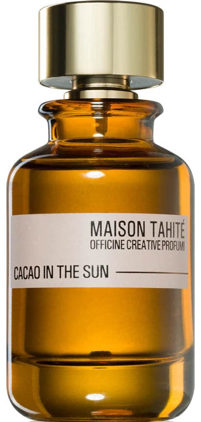 Cacao In The Sun