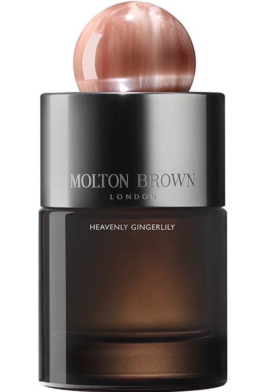 Heavenly Gingerlily