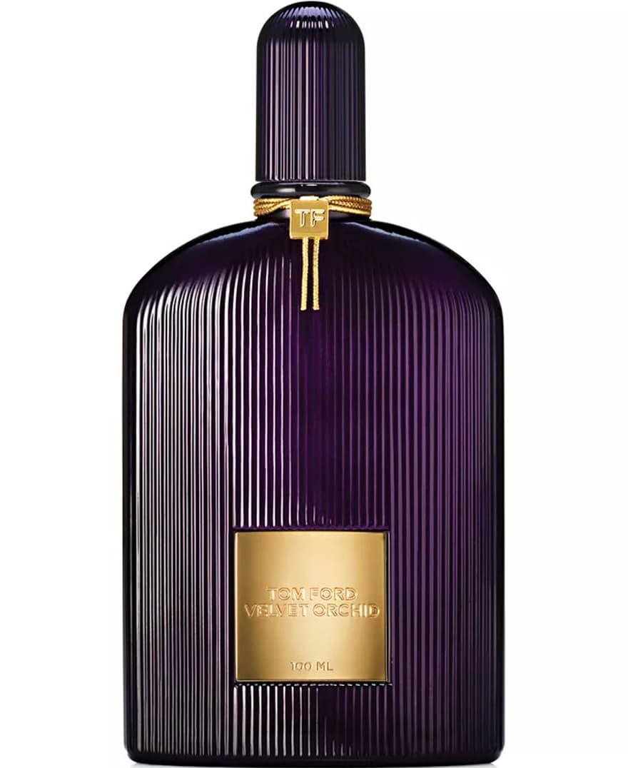 Velvet Orchid