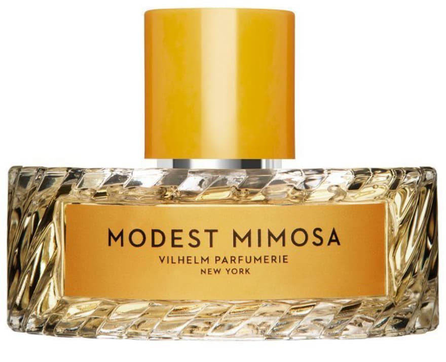 Modest Mimosa