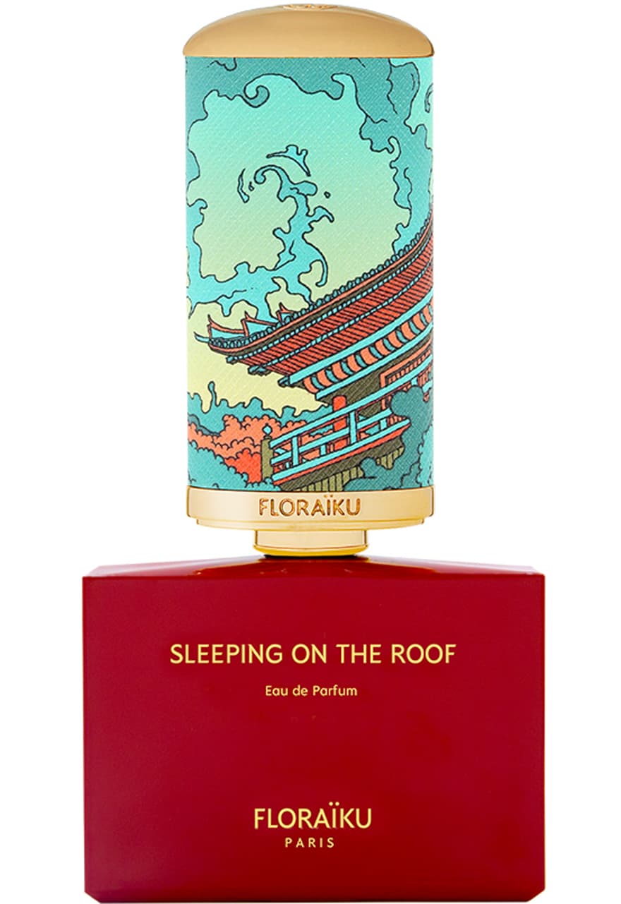 Sleeping On The Roof