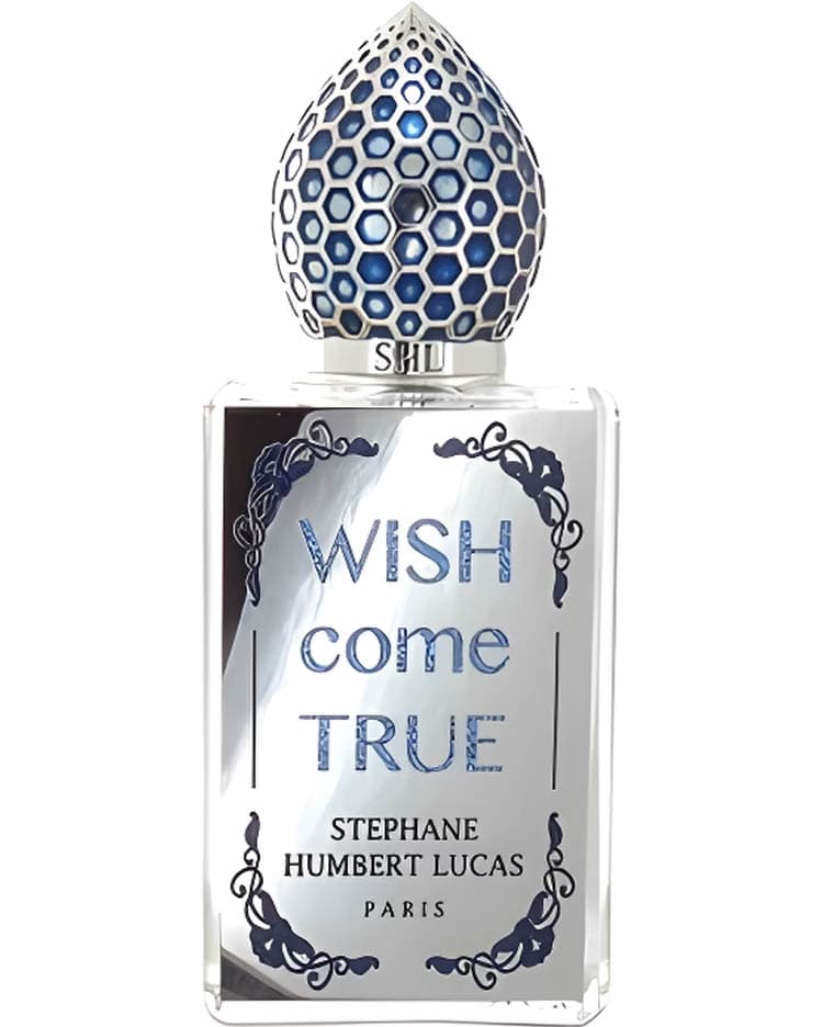 Wish Come True