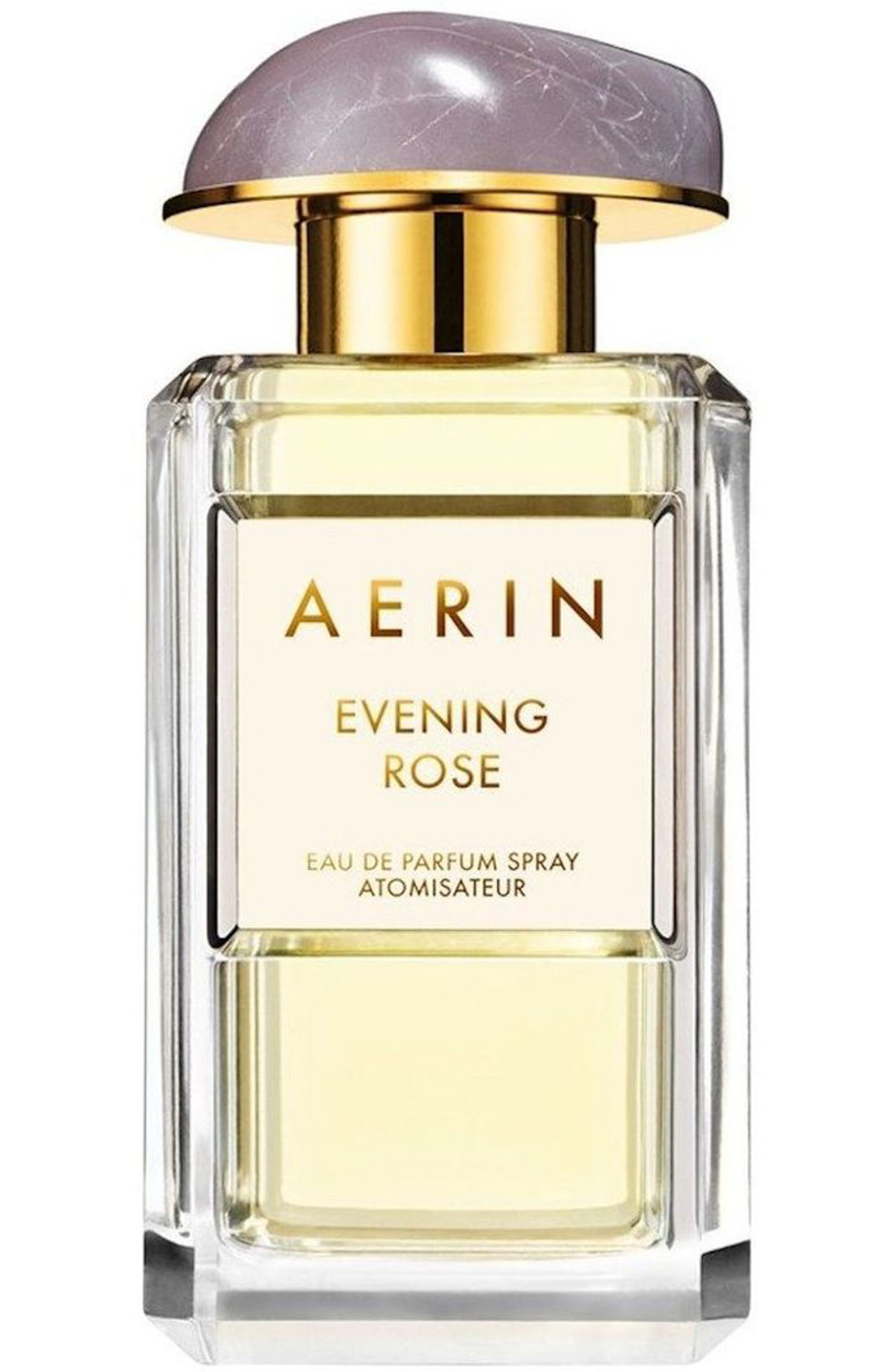 Evening Rose