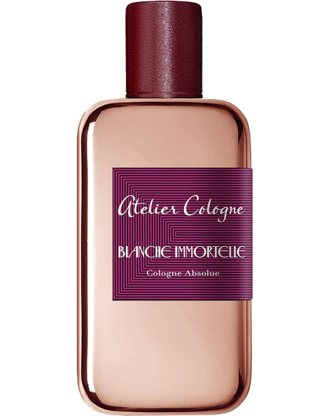 Blanche Immortelle