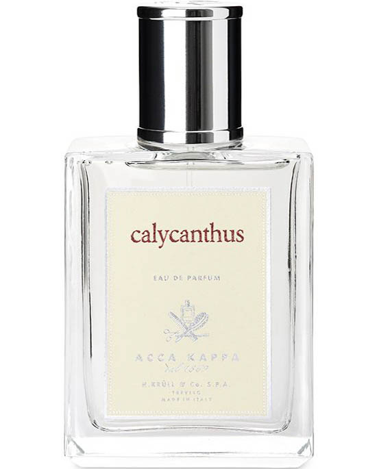 Calycanthus