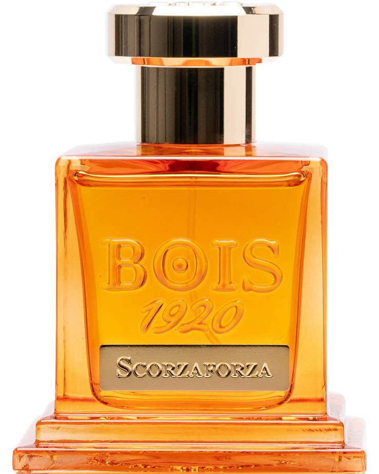 Scorzaforza