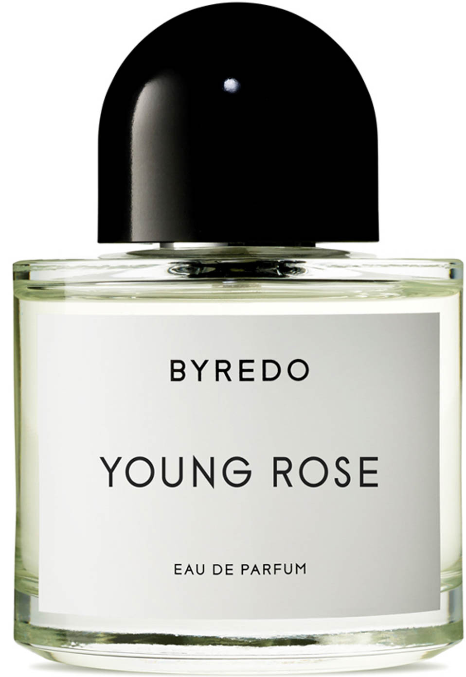 Young Rose