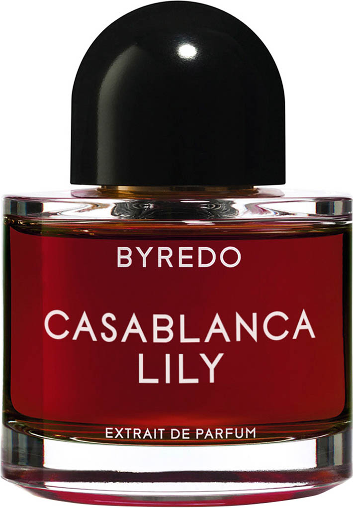 Casablanca Lily