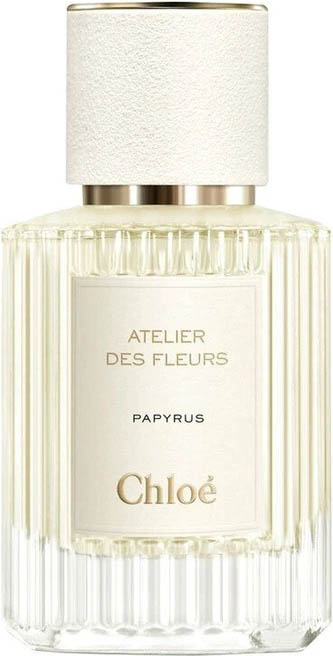 Atelier Des Fleurs Papyrus