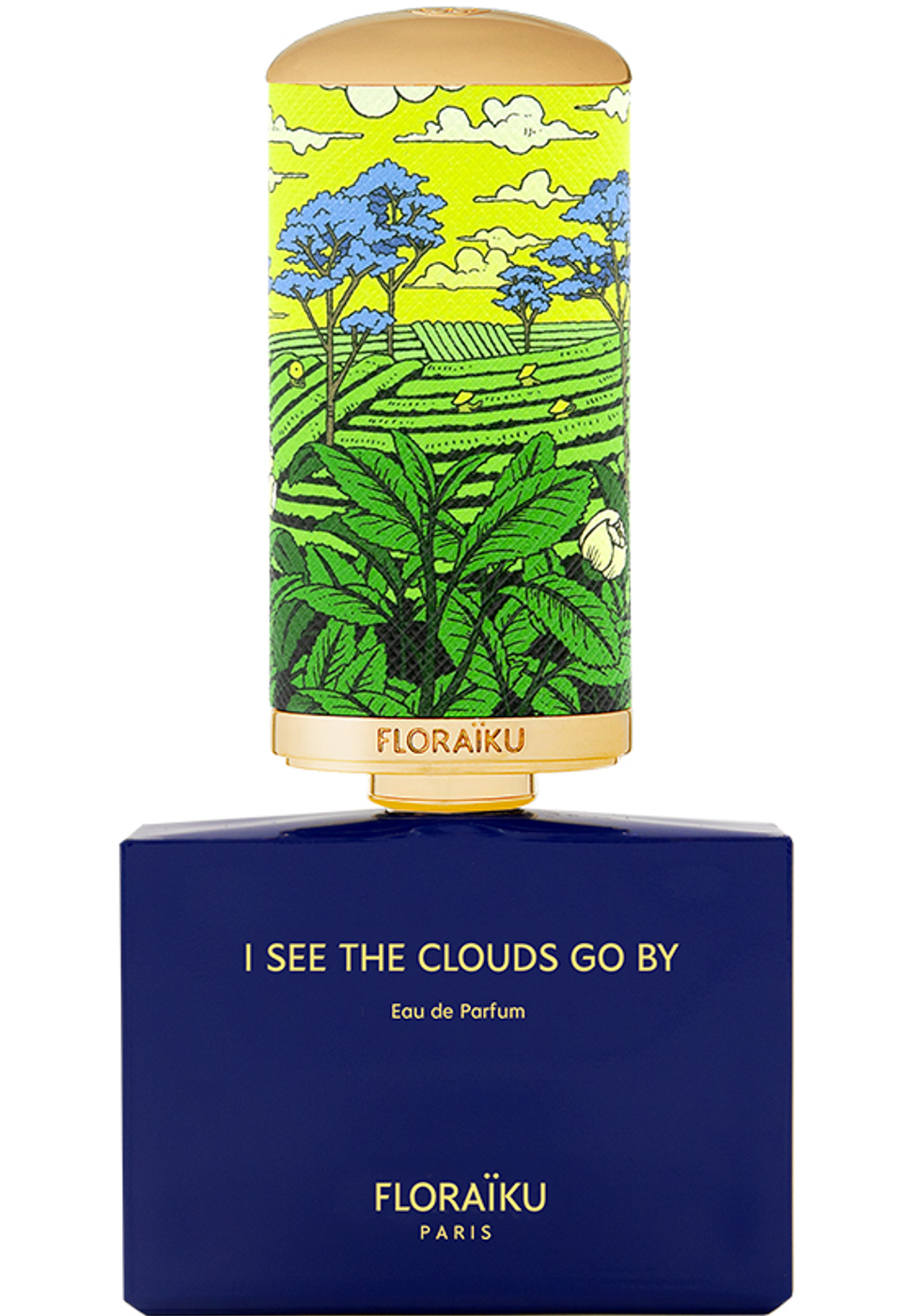I See The Clouds Go By