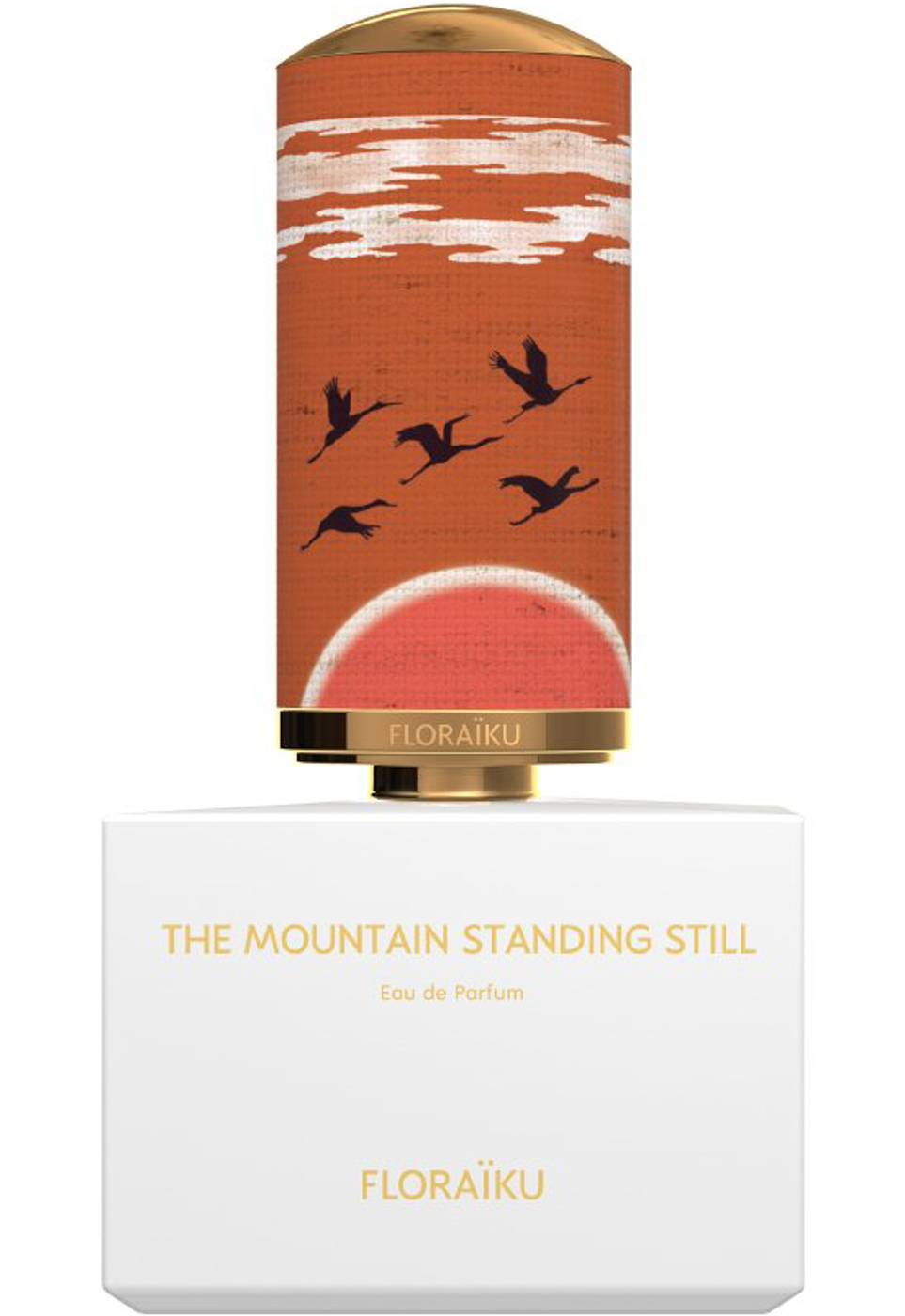 The Mountain Standing Still