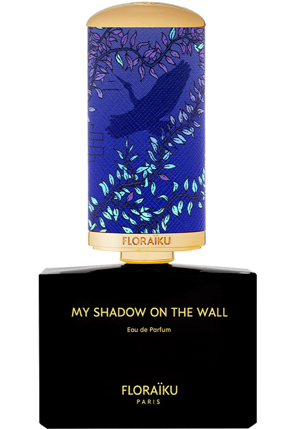 My Shadow On The Wall