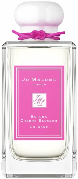 Sakura Cherry Blossom