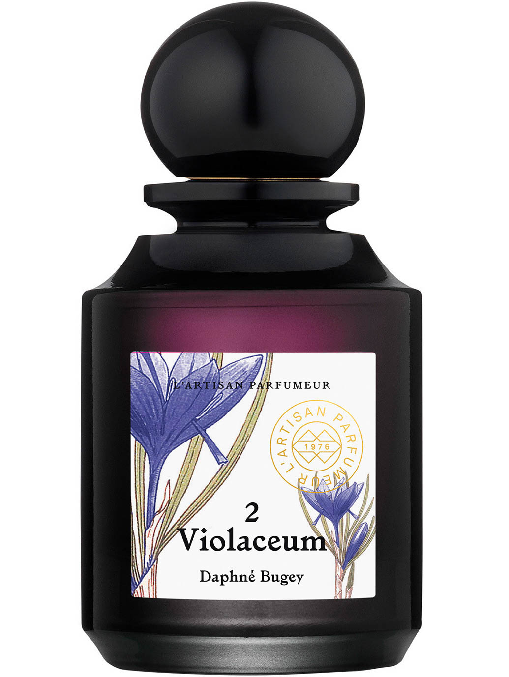 2 Violaceum