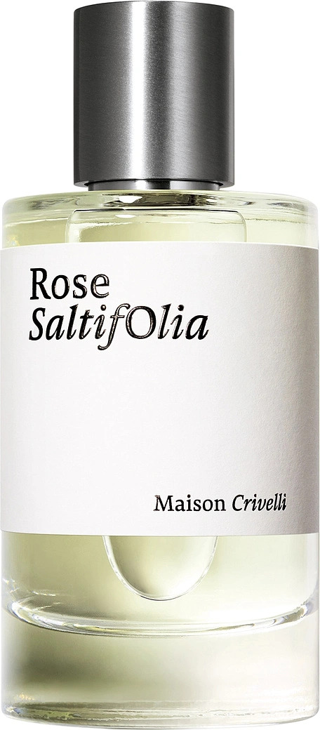 Rose SaltifOlia