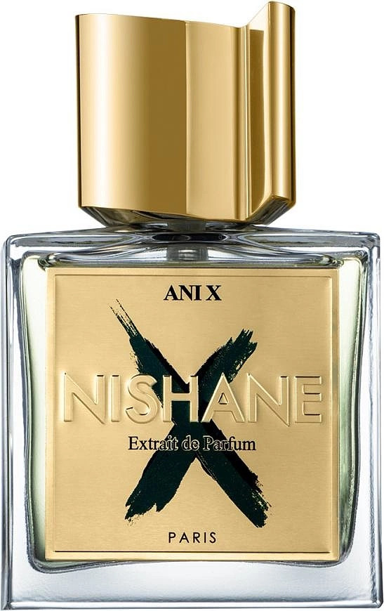 Ani X