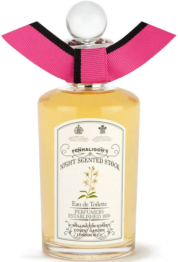 Night Scented Stock