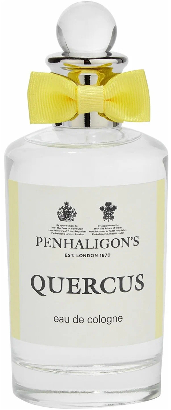 Quercus