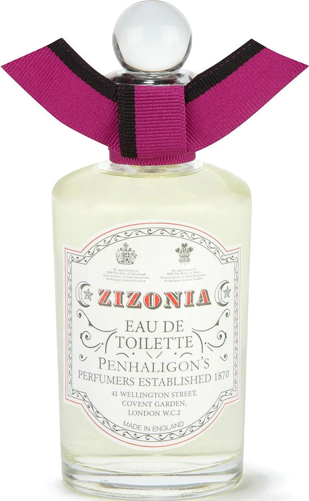 Zizonia