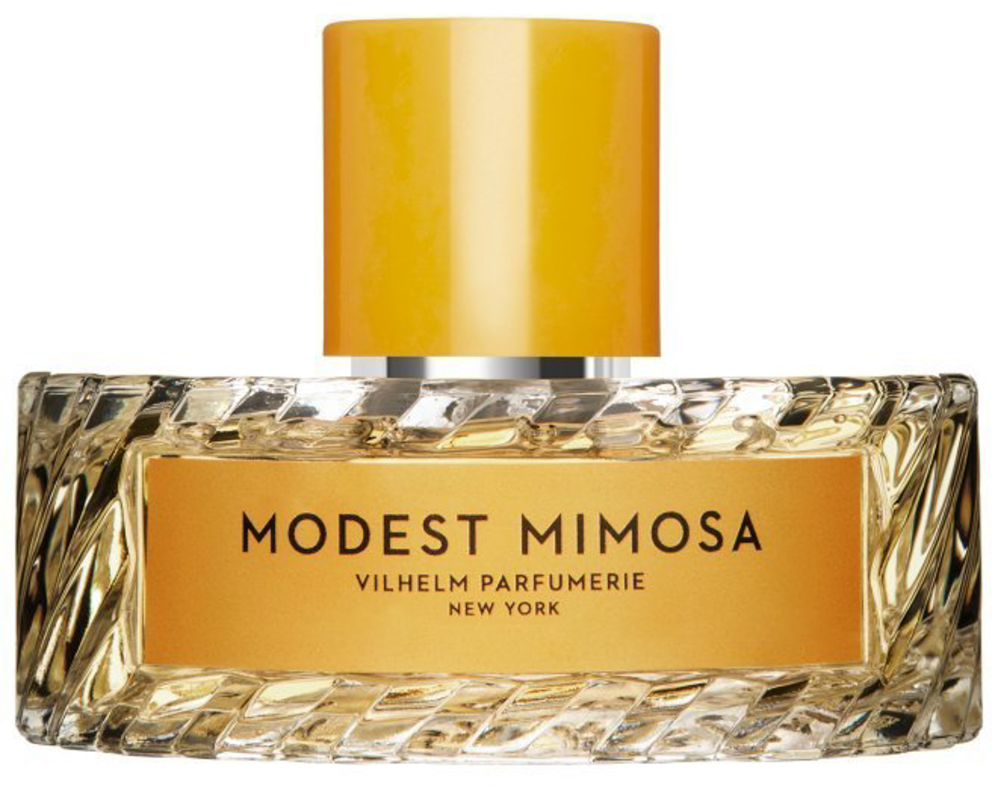 Modest Mimosa